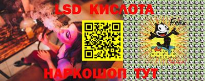 молекула духа Камышлов