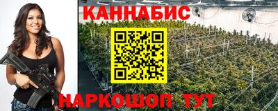 молекула духа Камышлов