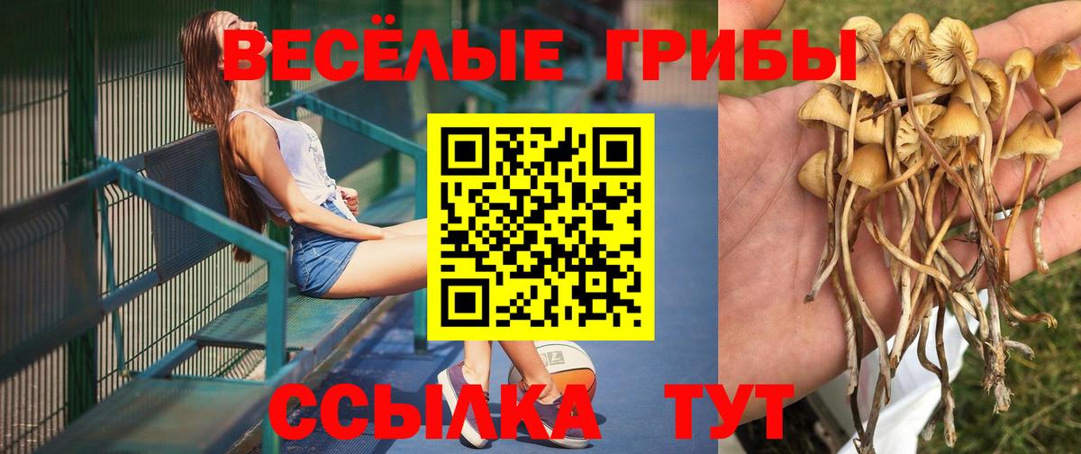 Галлюциногенные грибы мицелий Самара